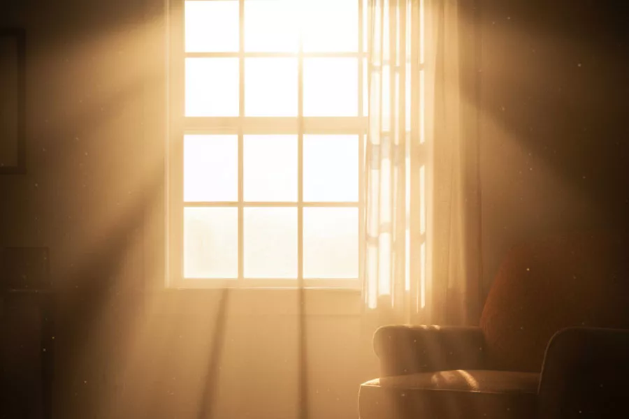 window repair San Francisco