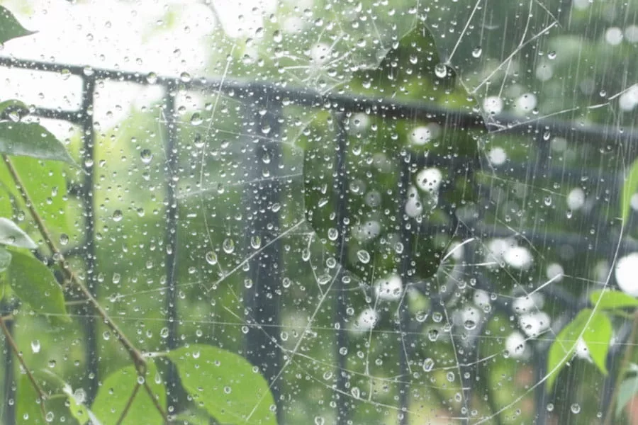 Broken Window Glass Repair